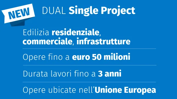single project